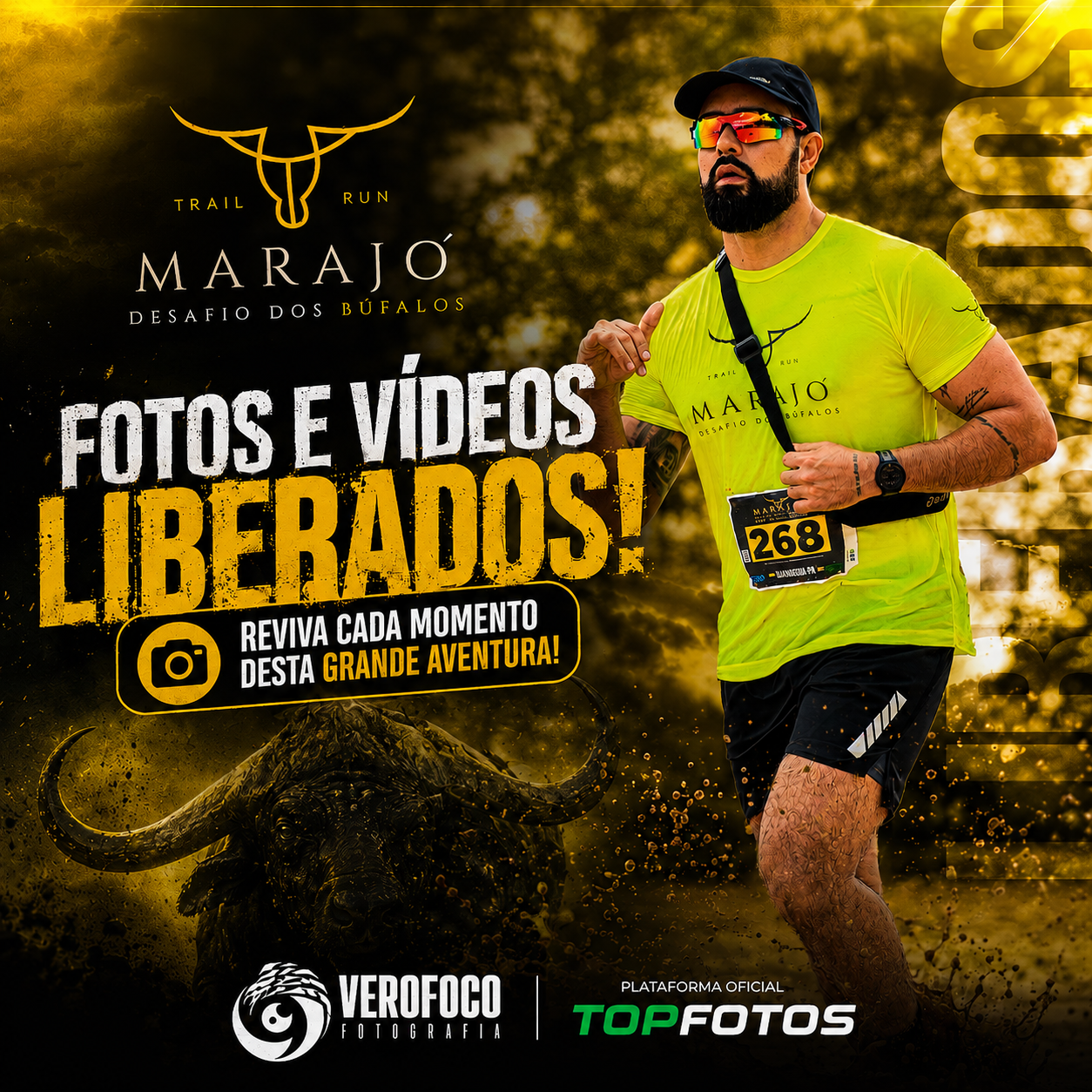 DESAFIO DOS BÚFALOS